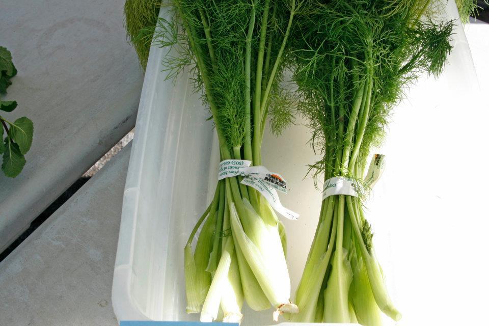 Corrales Growers' Market LocalHarvest