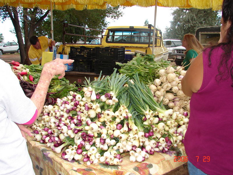 Farmington Growers Market LocalHarvest