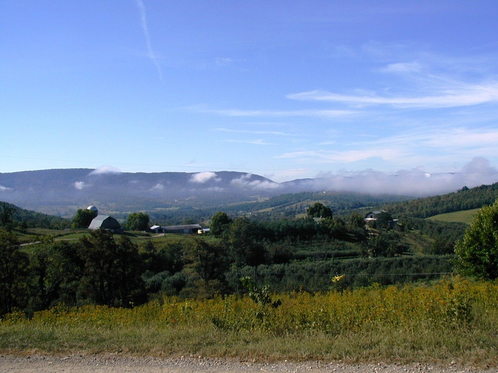 Doe Creek Farm LocalHarvest