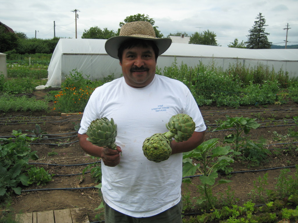 Forest Grove Farmers Market LocalHarvest
