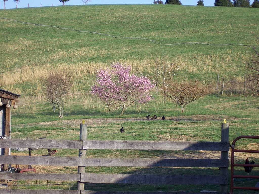 Winged Elm Farm LocalHarvest