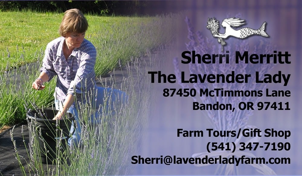 Merritt Lavender Farm LocalHarvest