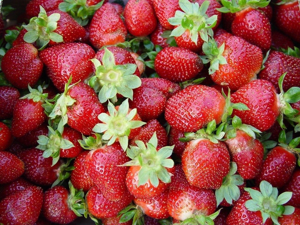 Cottle Strawberry Farm LocalHarvest