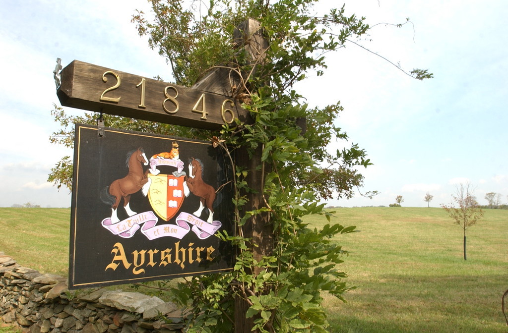 Ayrshire Farm LocalHarvest