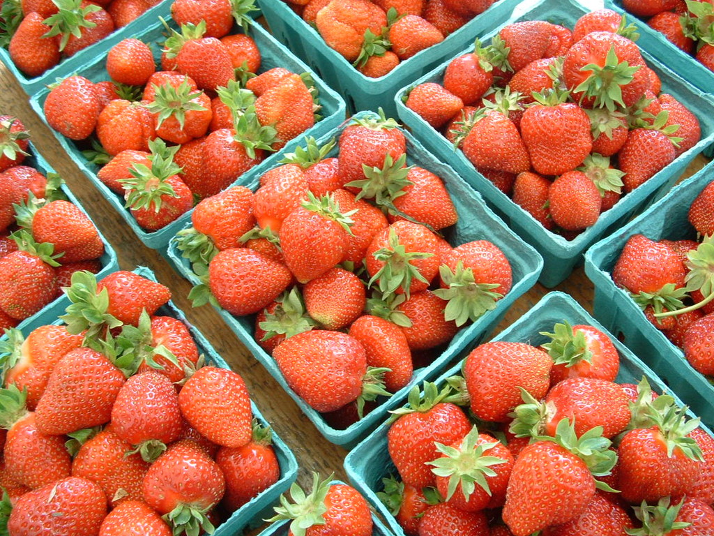 Sauchuk Farm, LLC LocalHarvest