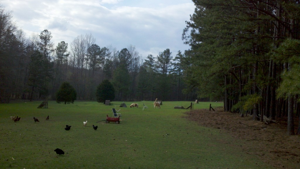 Dogwood Ridge Farm LocalHarvest