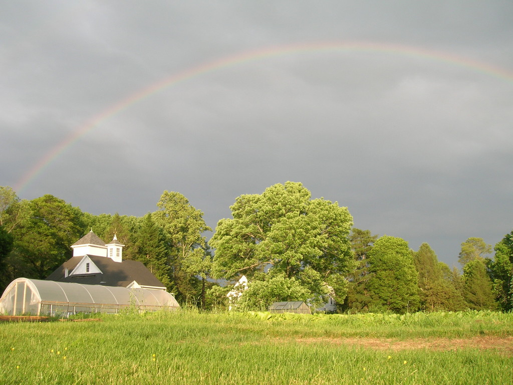 White Barn Farm LocalHarvest