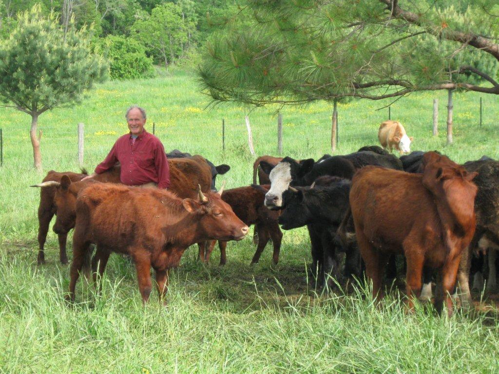 Belle Meade Farm & School LocalHarvest