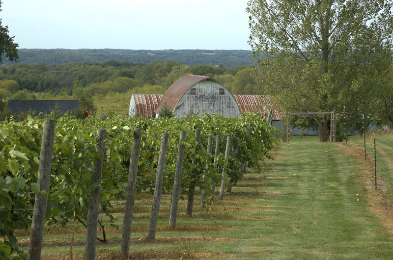 Martell Vineyards LocalHarvest