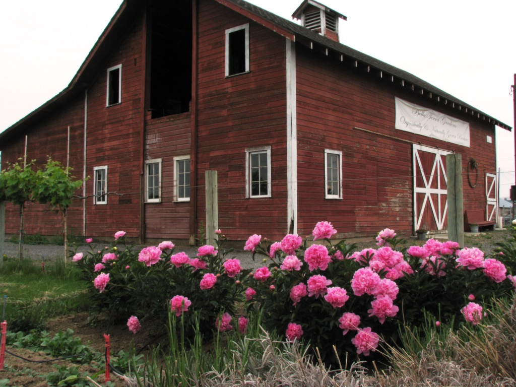 Bella Terra Gardens LocalHarvest
