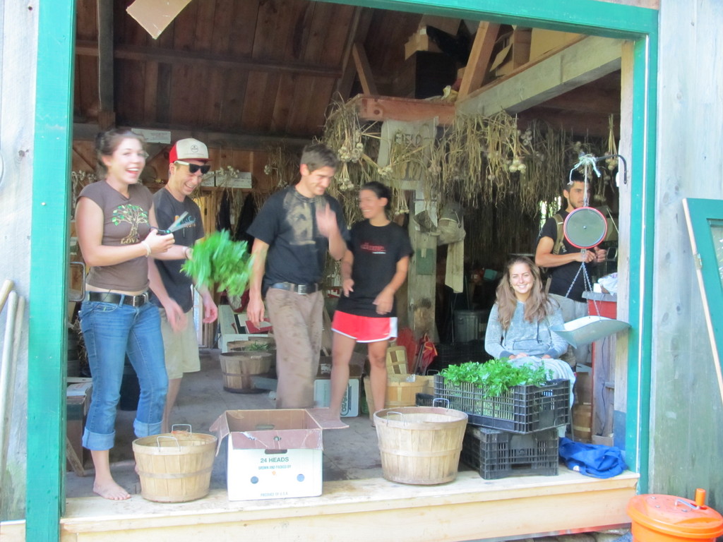 Kearsarge Gore Farm LocalHarvest