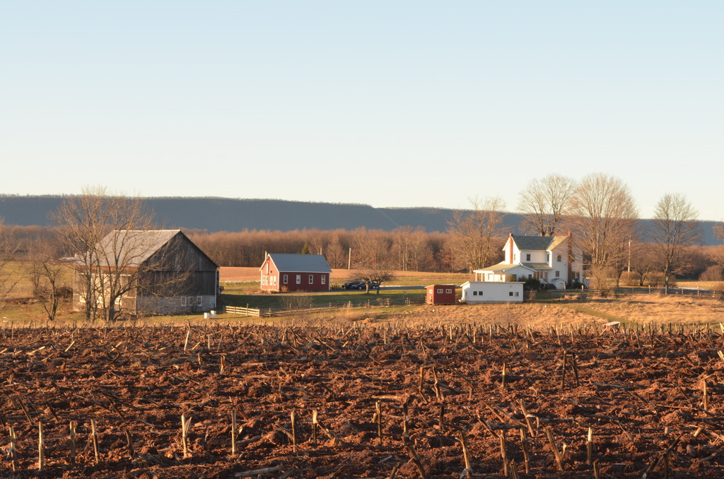 Buckland Farm LocalHarvest