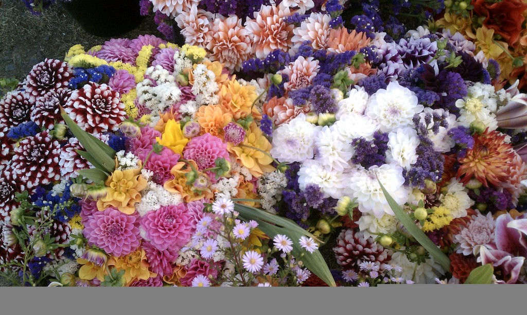 Salmon Creek Farmers' Markets LocalHarvest