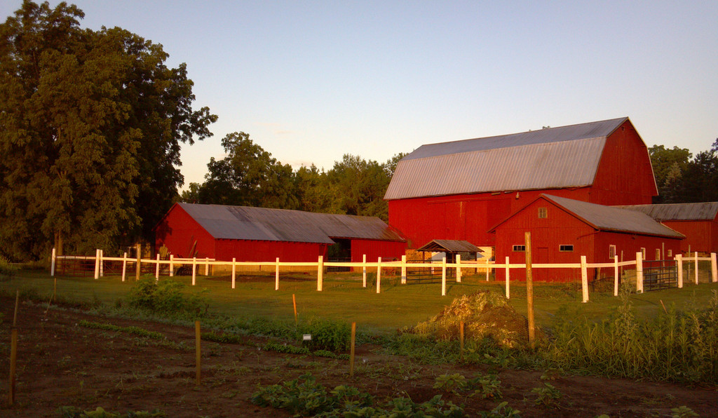 Burnt Mill Farm LocalHarvest