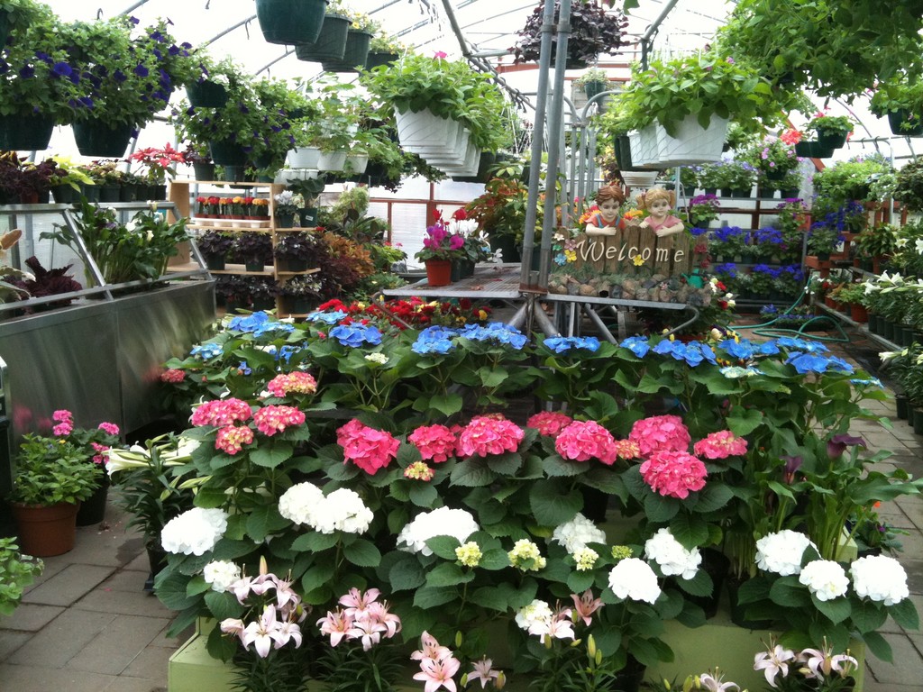 Spring Garden Greenhouses LocalHarvest