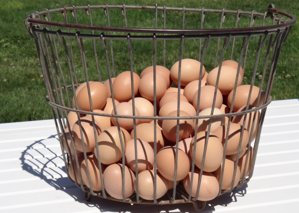 Schwarific Farm Red Barn Chicken Eggs LocalHarvest