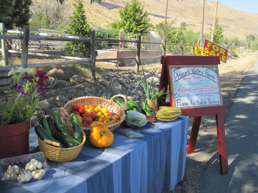 Pleasant Valley Farm LocalHarvest