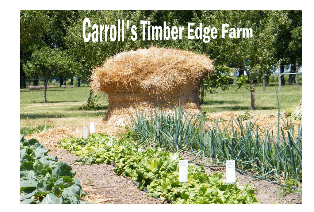 Carroll's Timber Edge Farm LocalHarvest