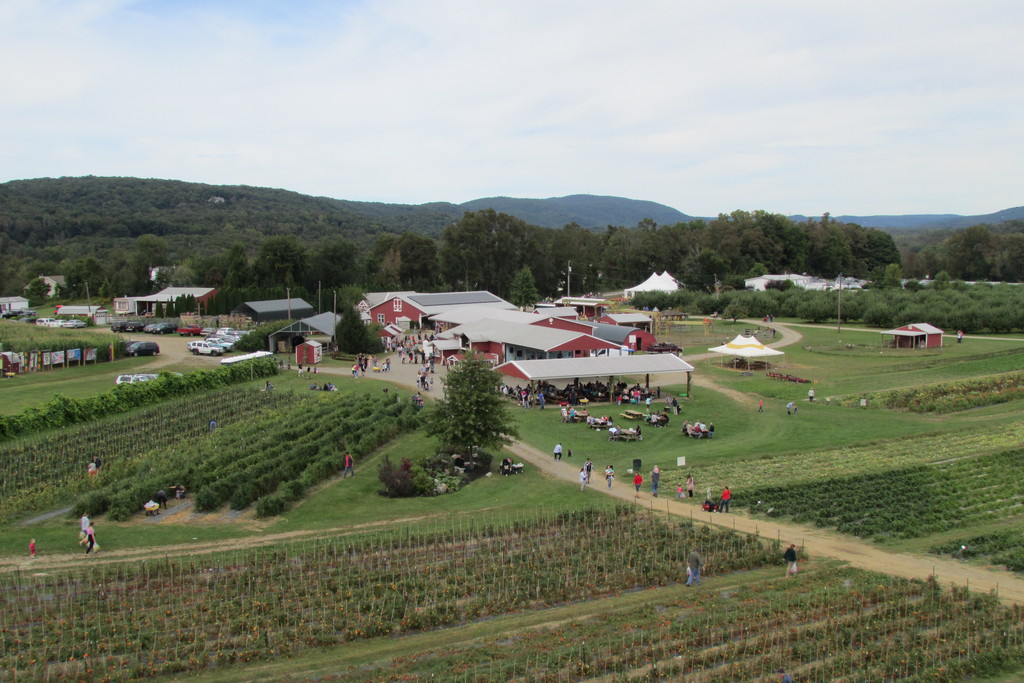 Barton Orchards LocalHarvest