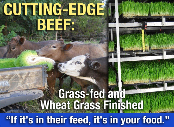 Lovejoy Farm LocalHarvest