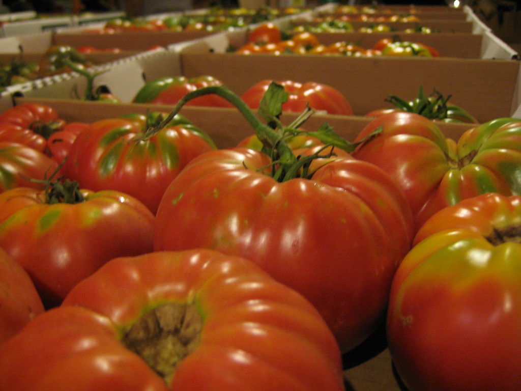 Savoie Organic Farm LocalHarvest