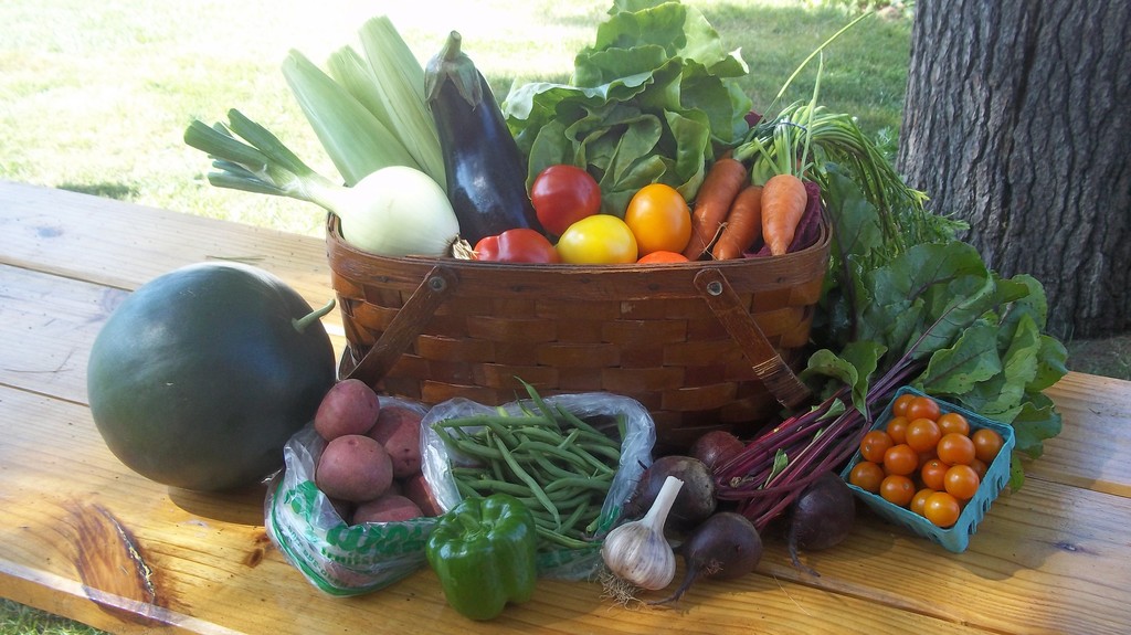 Knapp Creek Farm LocalHarvest