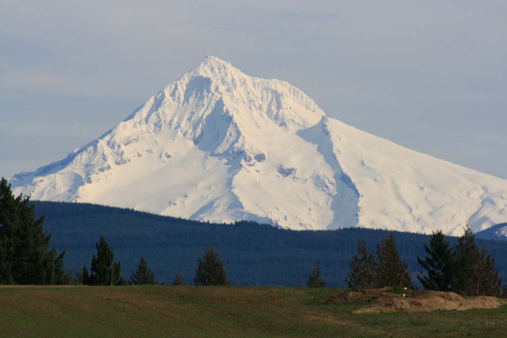 Burns Farm LocalHarvest