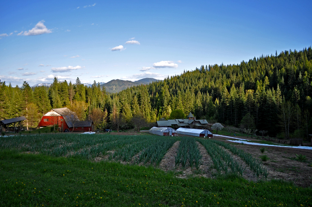 Killarney Farm LocalHarvest