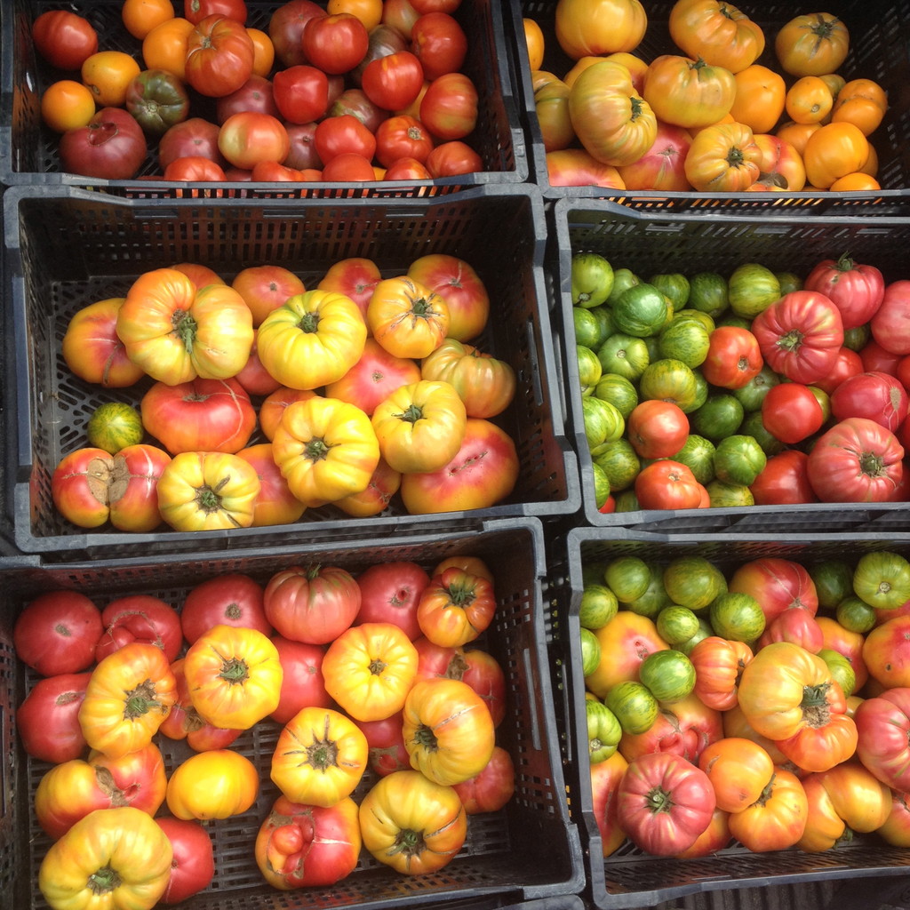 Black Kettle Farm LocalHarvest