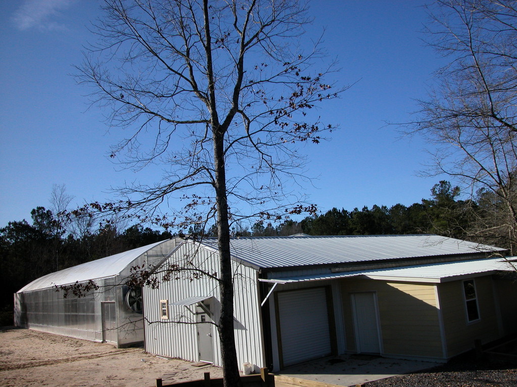 Sweetbay Produce & Nursery Hydroponic Farm