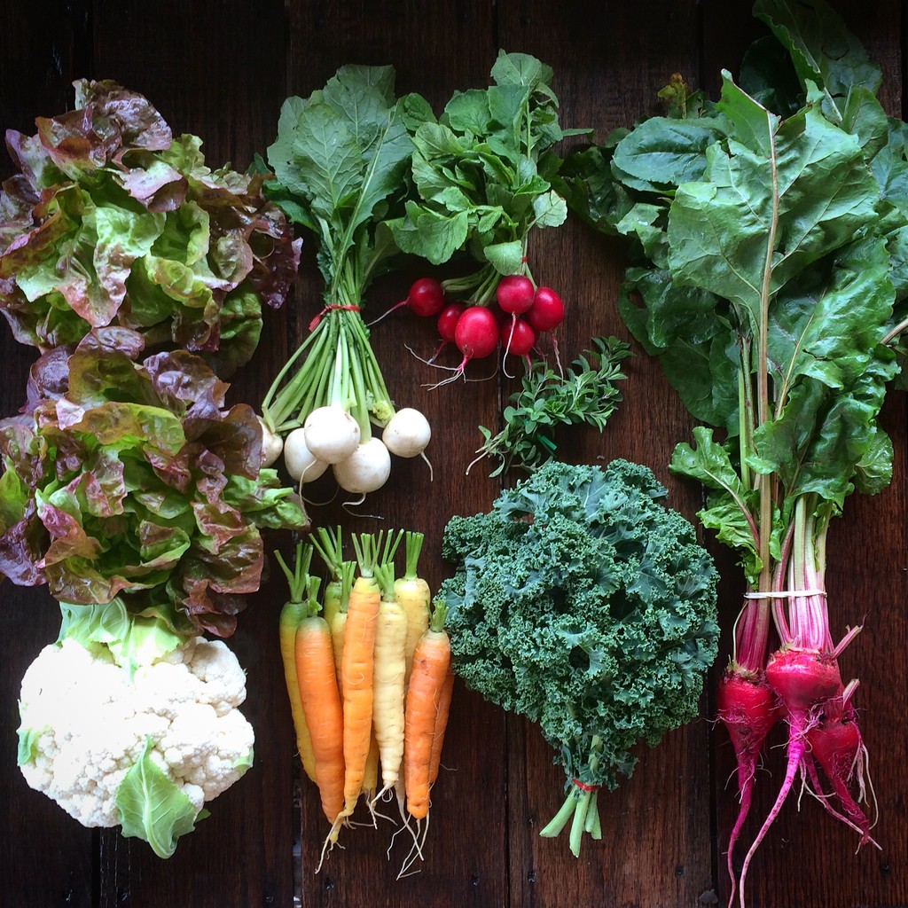 Hawkins Family Farm LocalHarvest
