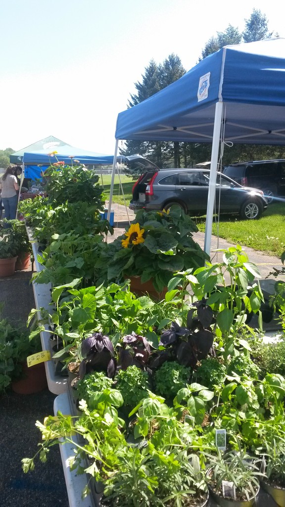 Richland Farmers' Market LocalHarvest