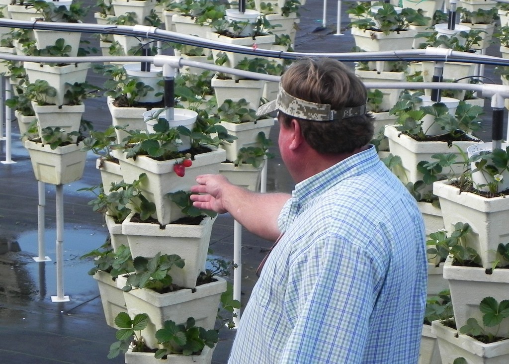 Harvest Time Market LocalHarvest