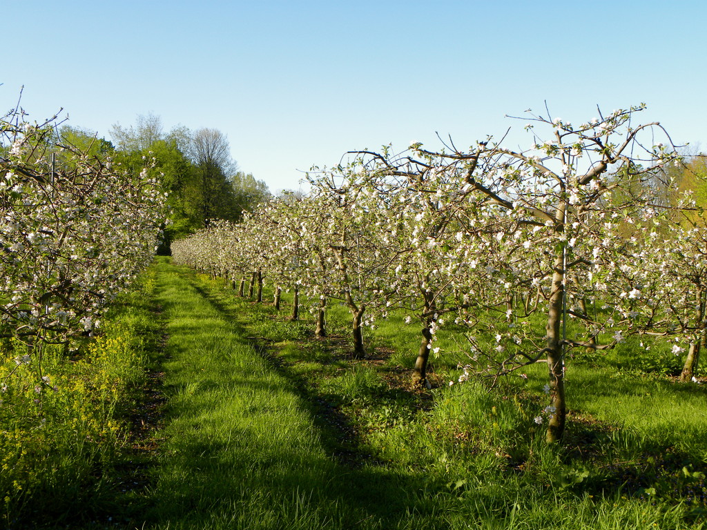 Kristy's Barn LocalHarvest