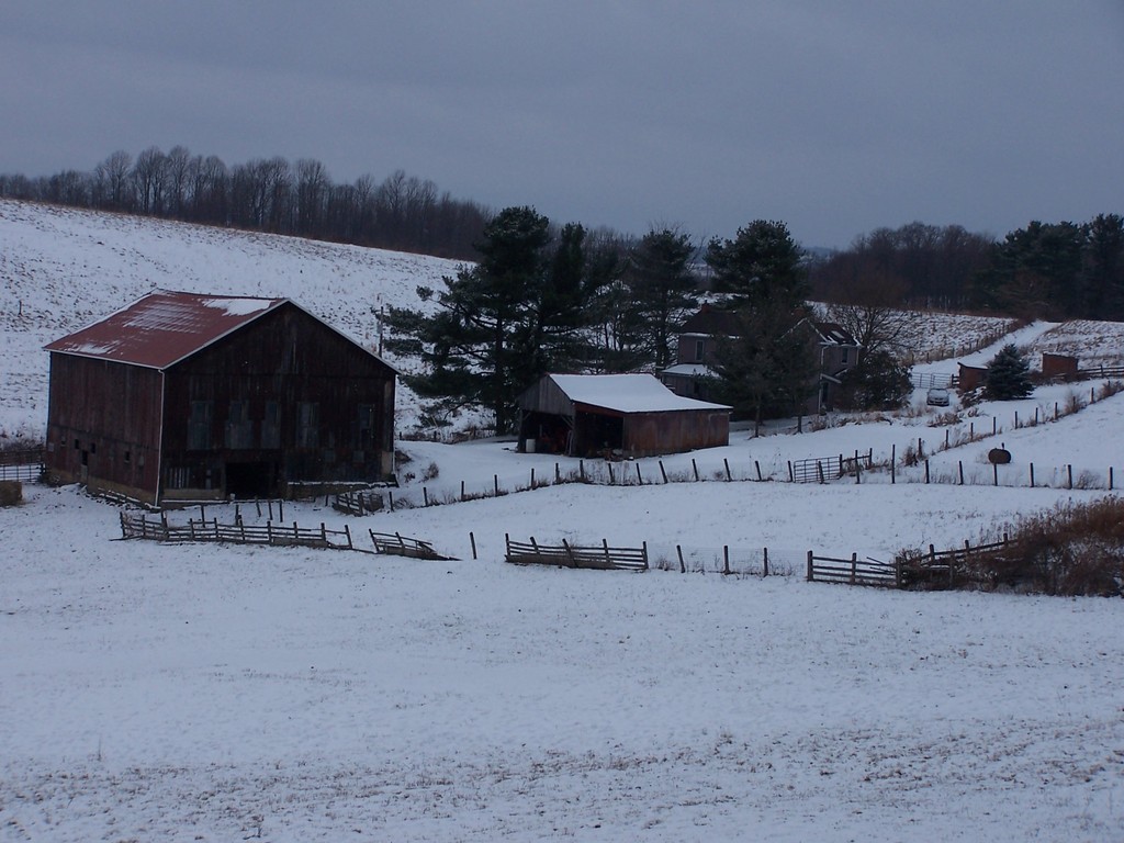 Jamison Farm LocalHarvest