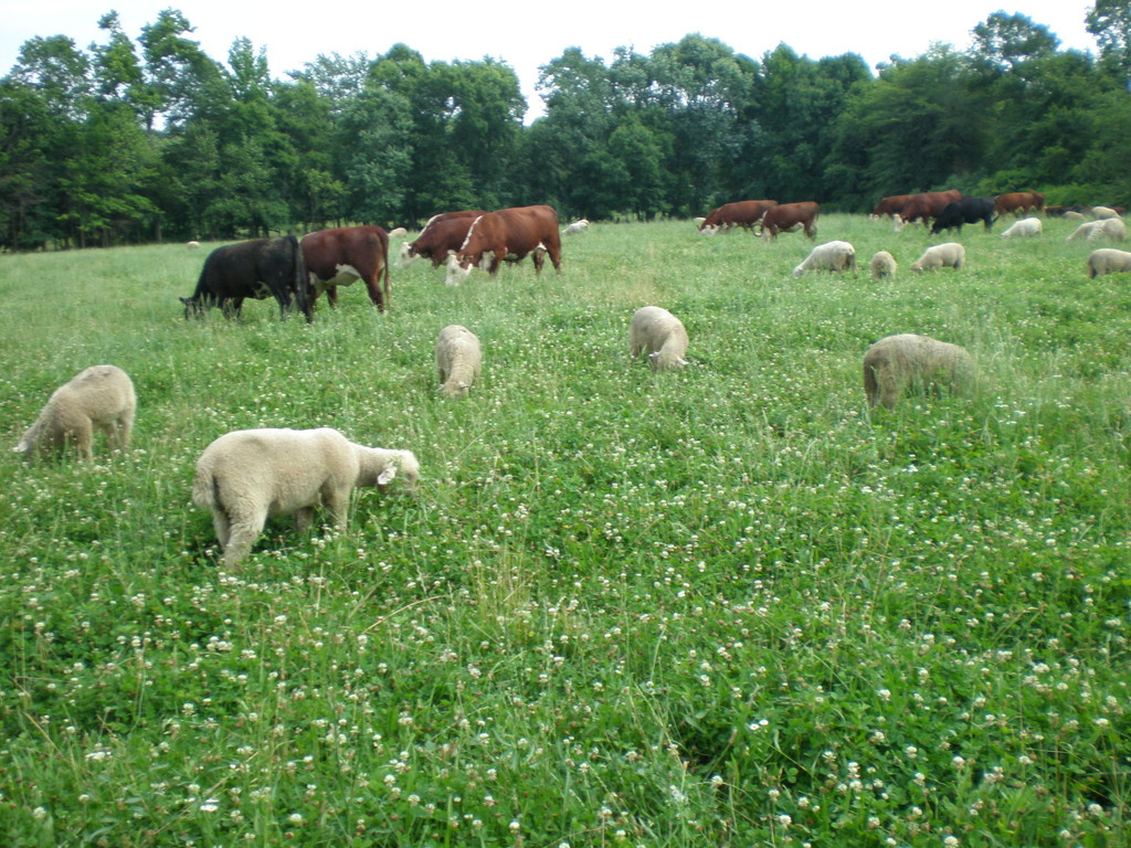 Neptune Farm LocalHarvest