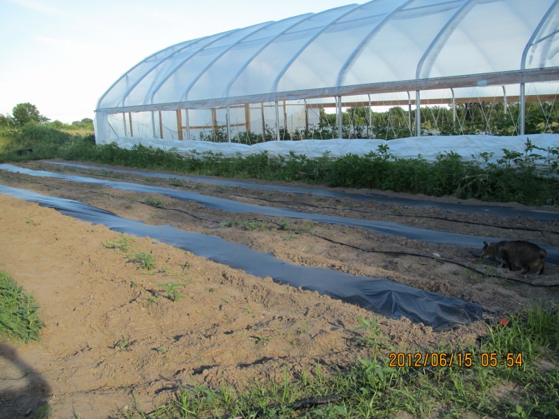 Burr Oak Farm LocalHarvest