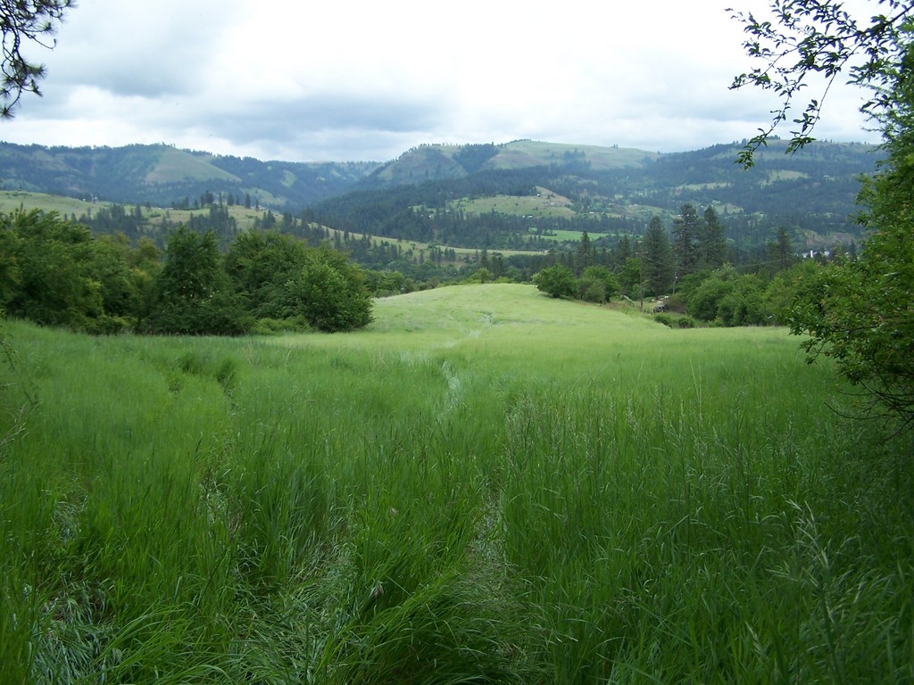 Kamiah Permaculture LocalHarvest