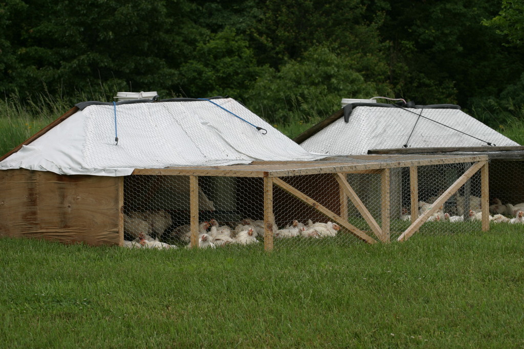 Stoney Ridge Farm LocalHarvest