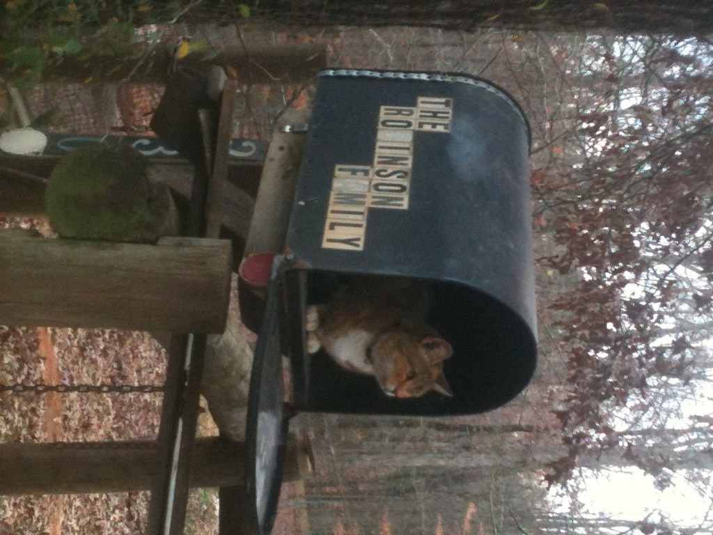 Robinson Family Farm LocalHarvest