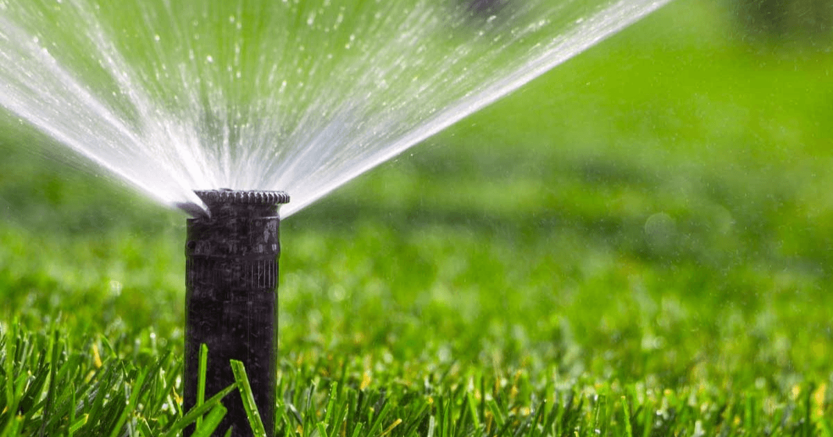 Why Irrigation Services Are Important in Texas (and How It All Works