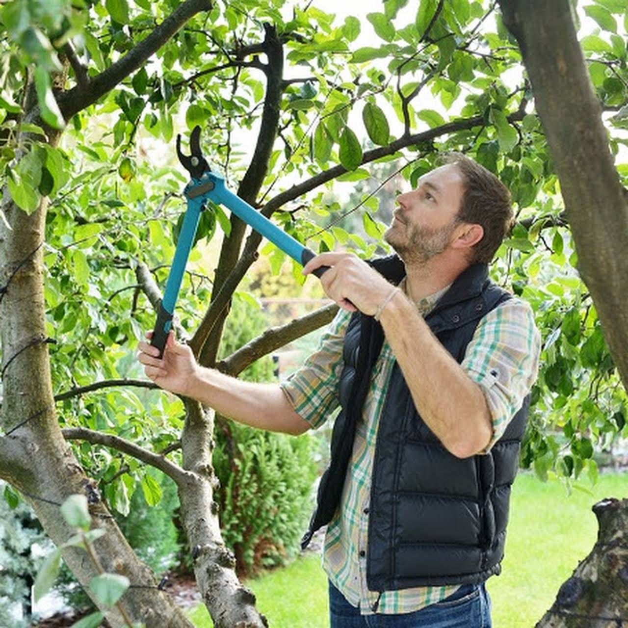 Sellers Tree Service, LLC Tree Service