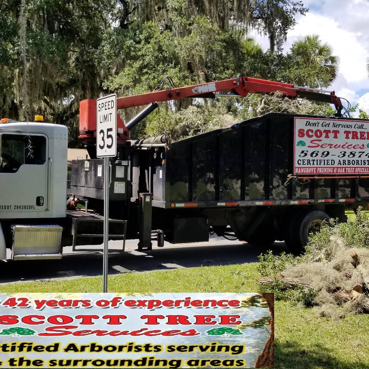 Scott Tree Services TC Tree Service in Vero Beach