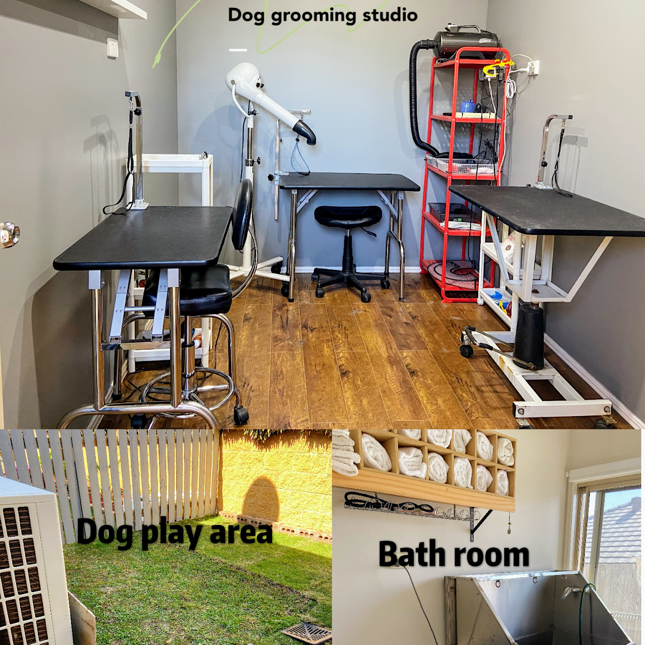 Shirley Professional Dog Grooming Studio Pet Groomer in Warner