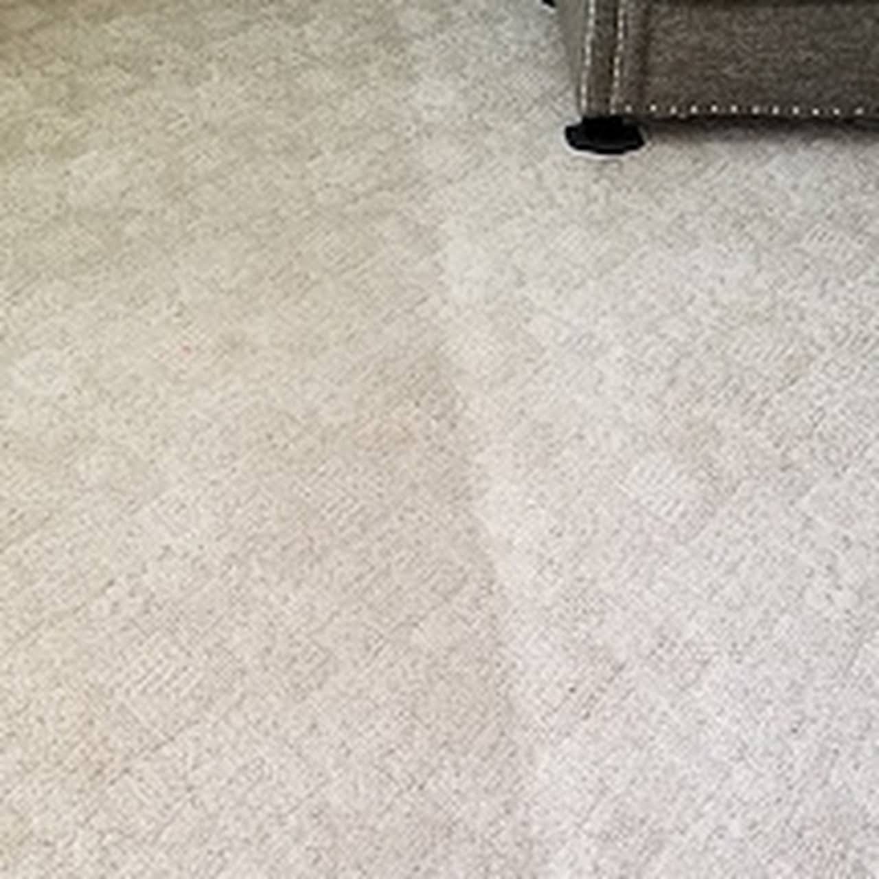 Classic Carpet Care Carpet Cleaning Service
