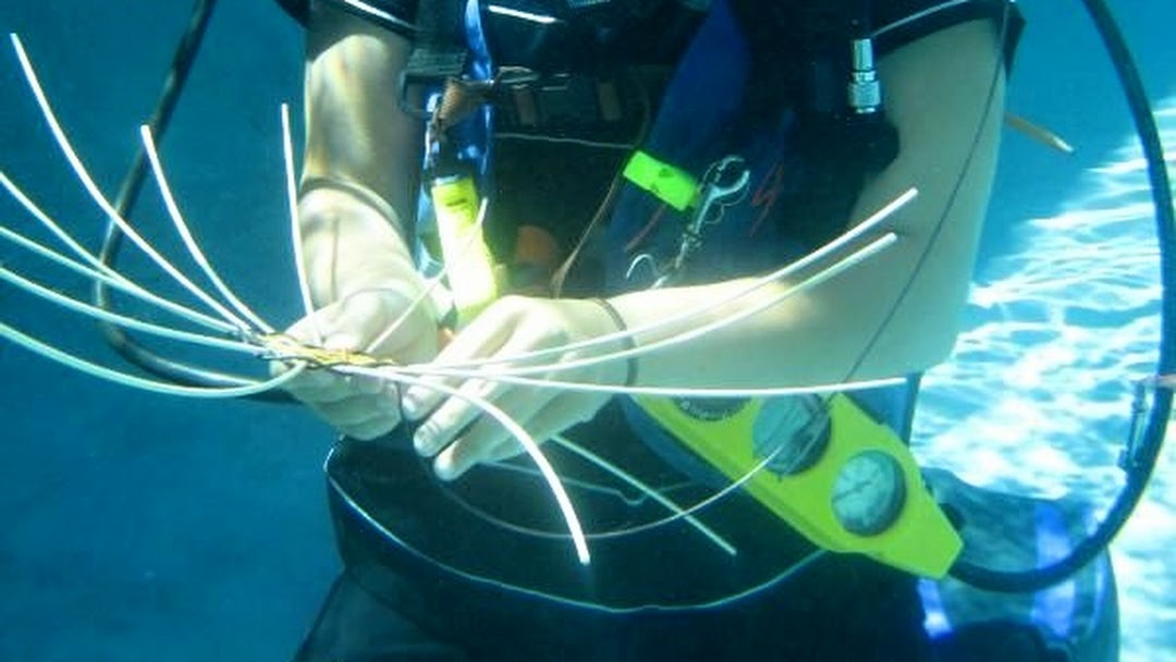 Underwater Basket Weaving Underwater Basket Weaving Basket Weaving Underwater