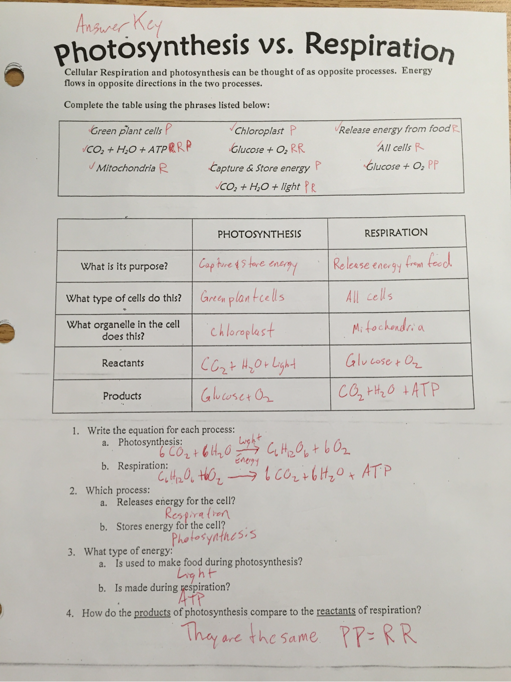 Answer Key Amoeba Sisters Photosynthesis And Cellular Respiration