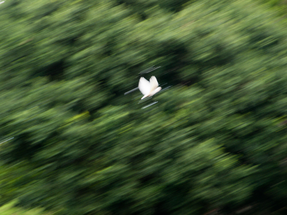 Joel Bramley Photography Sydney (via Blue Mountains) Trip