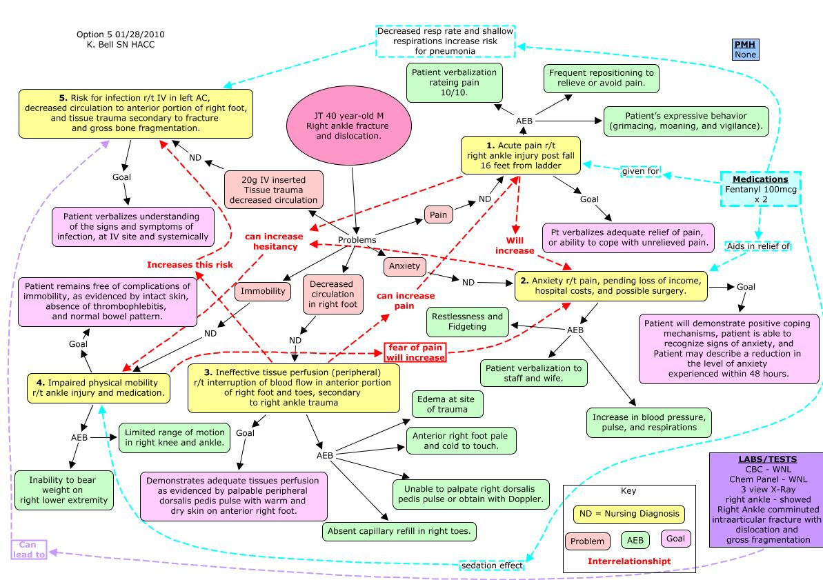 NANDA I, NOC, and NIC linkages in nursing care plans for. Nanda List
