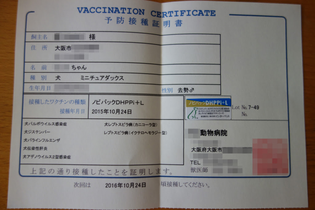 [最も共有された！ √] 犬 ワクチン証明書 ケース 219095犬 ワクチン証明書 ケース blogtlujplas